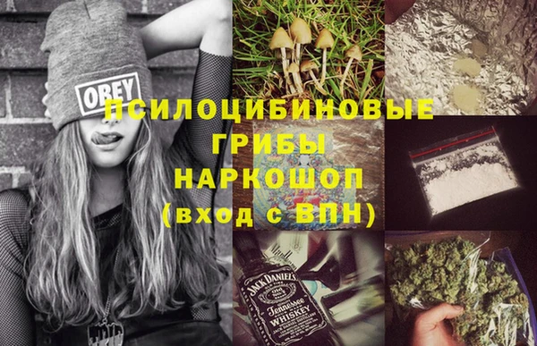 индика Алзамай